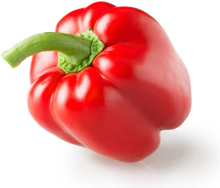Paprika – Frischezentrum Melzig GmbH